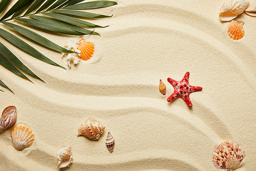 top view of red starfish and seashells near green palm leaf on sand