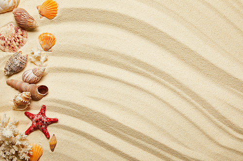 flat lay of seashells, red starfish and corals on sandy beach