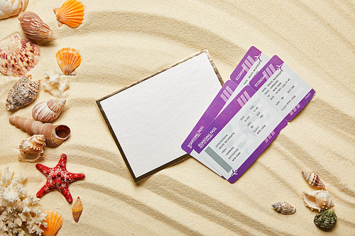 top view of blank placard near air tickets and seashells on sandy beach