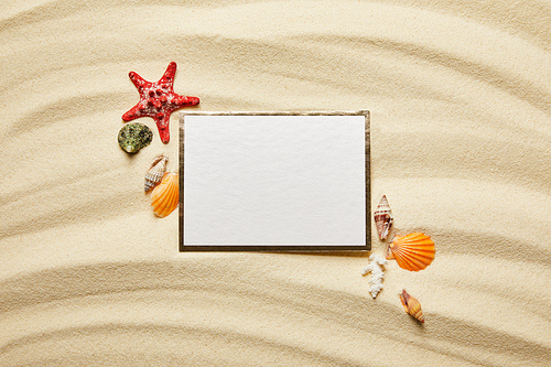 top view of blank placard near seashells, red starfish and white coral on sandy beach