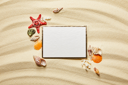 top view of blank placard near seashells, starfish and white corals on sandy beach