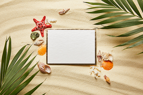 top view of green leaves near blank placard and seashells on sandy beach