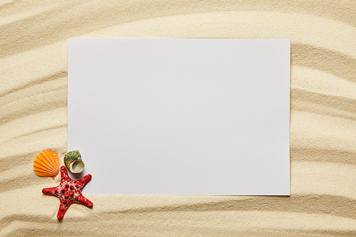 blank placard near red starfish and seashells on sandy beach in summer