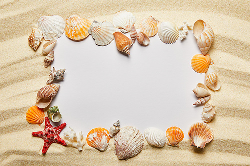 frame of seashells near blank placard on sandy beach