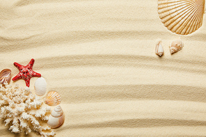 top view of red starfish, seashells and white coral on sandy beach in summertime