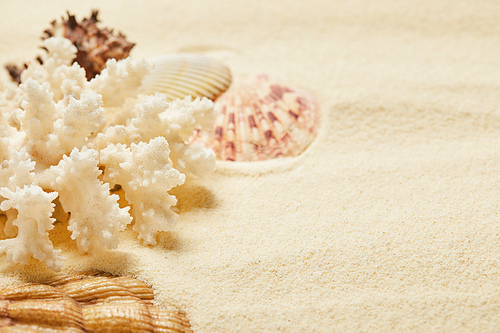 selective focus of white coral near seashells on beach in summertime
