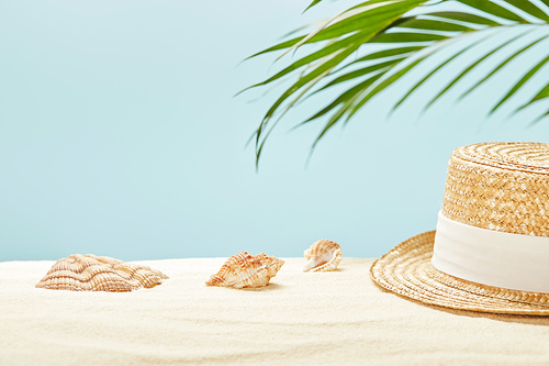 selective focus of straw hat near seashells and green palm leaf in summertime isolated on blue