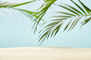 green palm leaves near golden sandy beach on blue