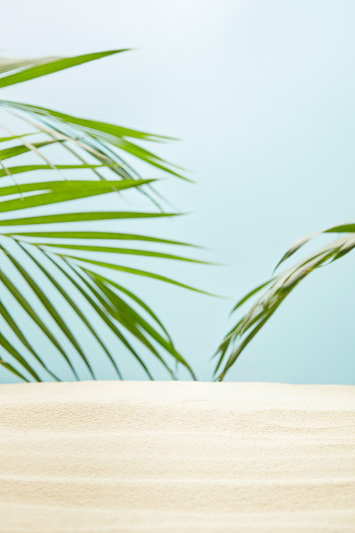 selective focus of golden sandy beach near green palm leaves on blue