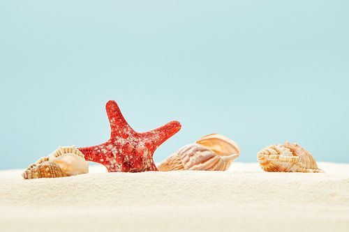 selective focus of red starfish and seashells on sandy beach isolated on blue