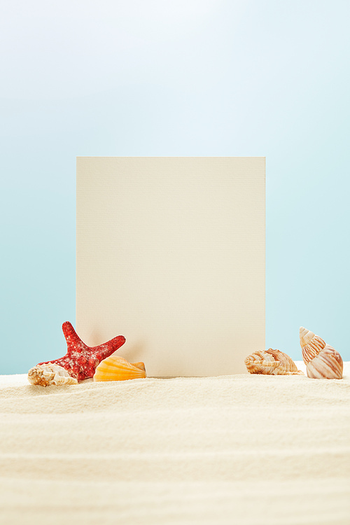 red starfish and seashells near blank placard on sand isolated on blue