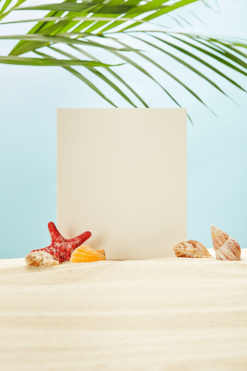 selective focus of blank placard, starfish and seashells on sand near green palm leaves on blue