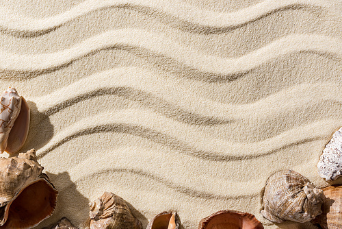 top view of sandy background with smooth waves, seashells and copy space