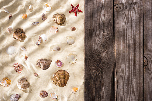 Top view of seashells and starfish on sand and wooden brown board