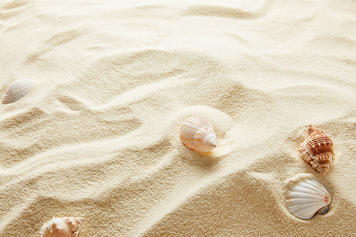 textured wavy golden sand background with copy space and seashells
