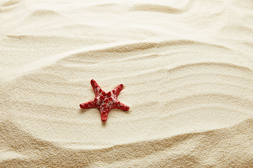 textured wavy golden sand background with copy space and red starfish