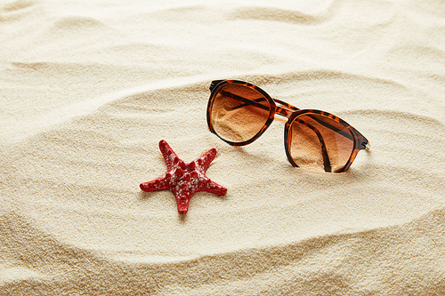 brown stylish sunglasses on sand with red starfish
