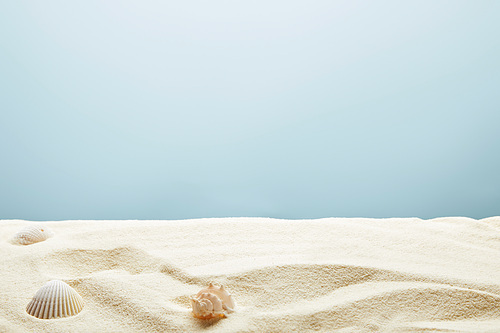 scattered seashells on textured sand on blue background