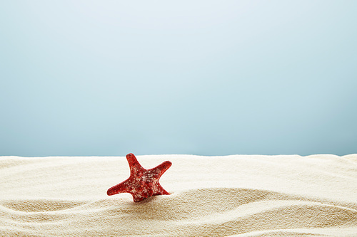 wavy textured golden sand with red starfish on blue background