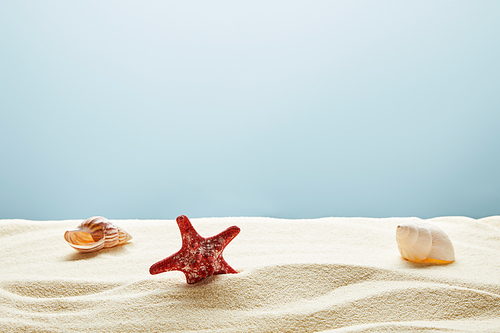 wavy textured golden sand with red starfish and seashells on blue background