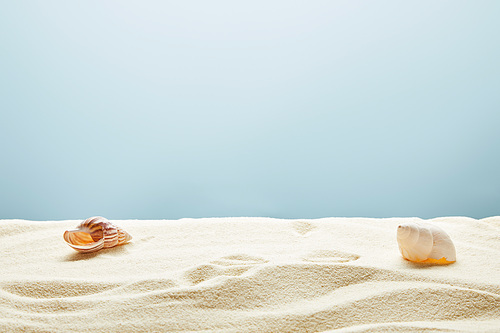 wavy textured golden sand with seashells on blue background