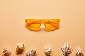 marine textured seashells and stylish sunglasses on beige background