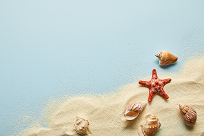 top view of textured wavy golden sand with seashells and starfish on blue background with copy space