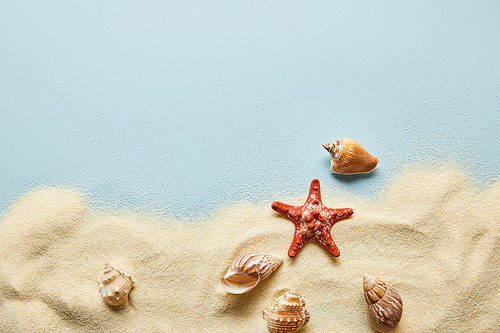top view of textured wavy sand with seashells and starfish on blue background with copy space