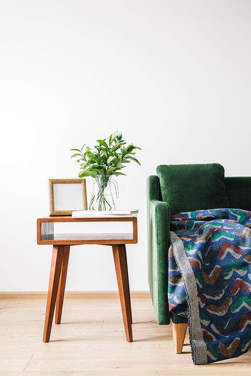 green sofa with pillow and blanket near wooden coffee table with green plant, books and photo frame