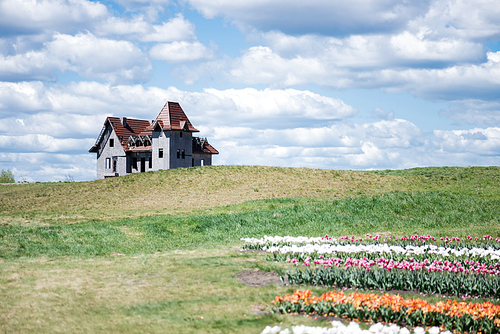 house on hill near colorful tulips field and blue sky with clouds