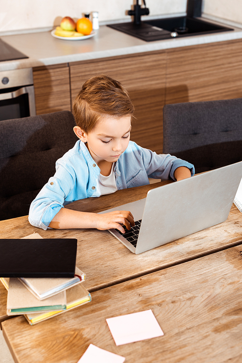 cute boy using laptop while e-learning at home