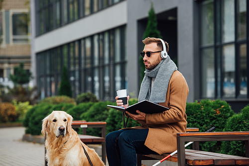 Blind man in headphones holding book and thermo mug on bench beside guide dog