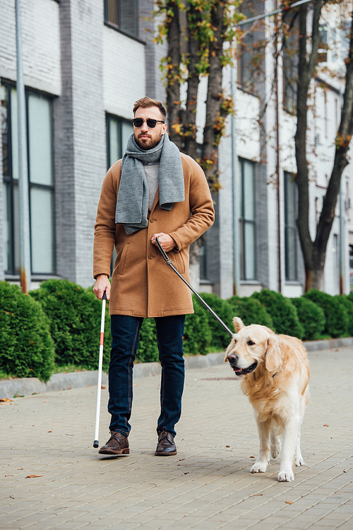 Blind man walking with guide dog on urban street