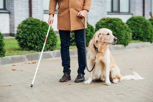Cropped view of blind man with guide dog and walking stick on urban street