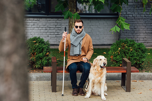 Blind man sitting on bench beside guide dog on street