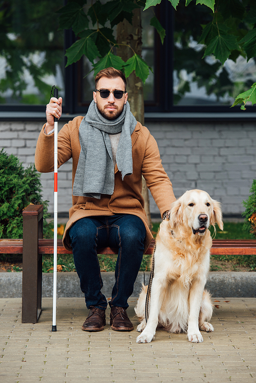 Blind man with walking stick sitting on bench beside guide dog