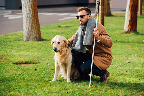 Blind man with walking stick and guide dog on lawn