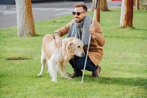 Smiling blind man with walking stick petting guide dog on lawn