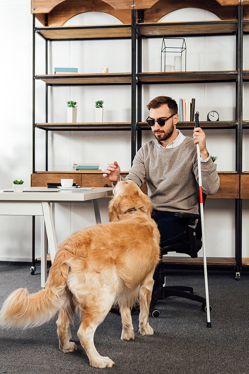 Blind man with walking stick playing with golden retriever at home
