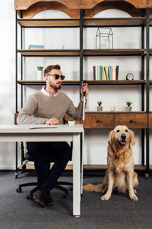 Blind man with walking stick sitting at table beside golden retriever