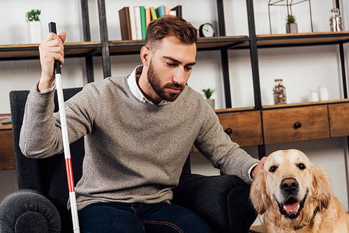 Blind man with walking stick sitting in armchair and stroking golden retriever at home