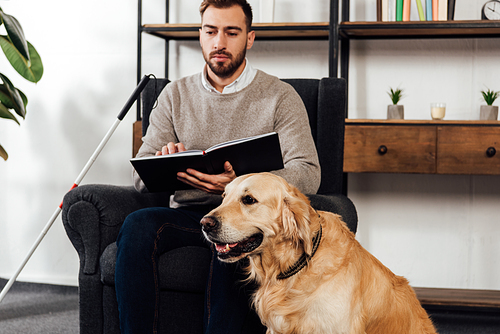 Selective focus of golden retriever sitting beside blind man with book in living room