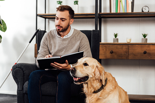 Selective focus of golden retriever sitting beside blind man reading book at home