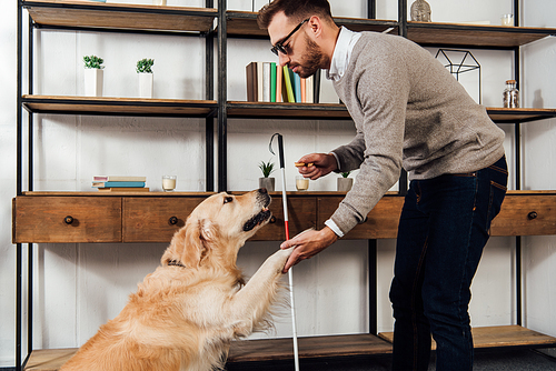 Side view of blind man holding bagel while training golden retriever at home