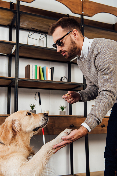 Side view of visually impaired man holding bagel while training golden retriever at home