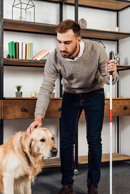 Visually impaired man with walking stick stroking golden retriever at home