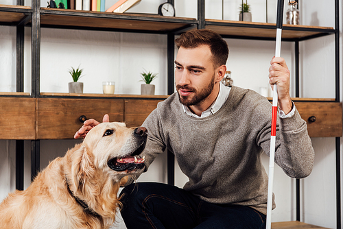 Visually impaired man with walking stick stroking golden retriever at home