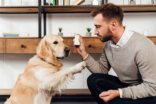 Side view of man training golden retriever and holding jar with vitamins at home