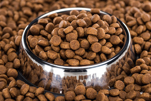 dry pet food in silver bowl and around