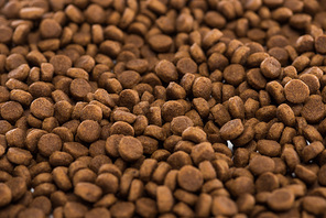 brown dry pet food background with copy space